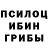 Галлюциногенные грибы мицелий Alessio Ori