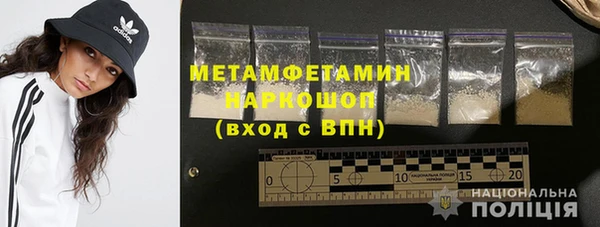 прущие грибы Зеленодольск