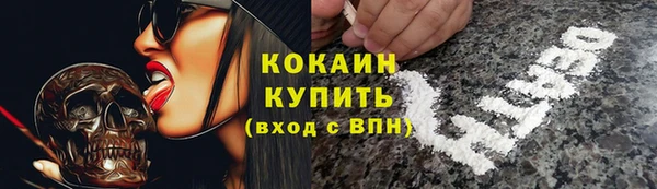 прущие грибы Зеленодольск