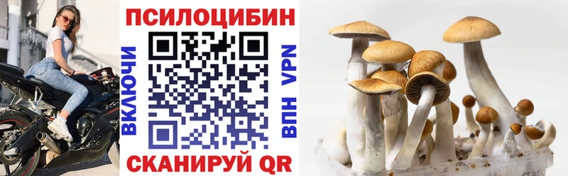 Псилоцибиновые грибы Cubensis  Кизляр 