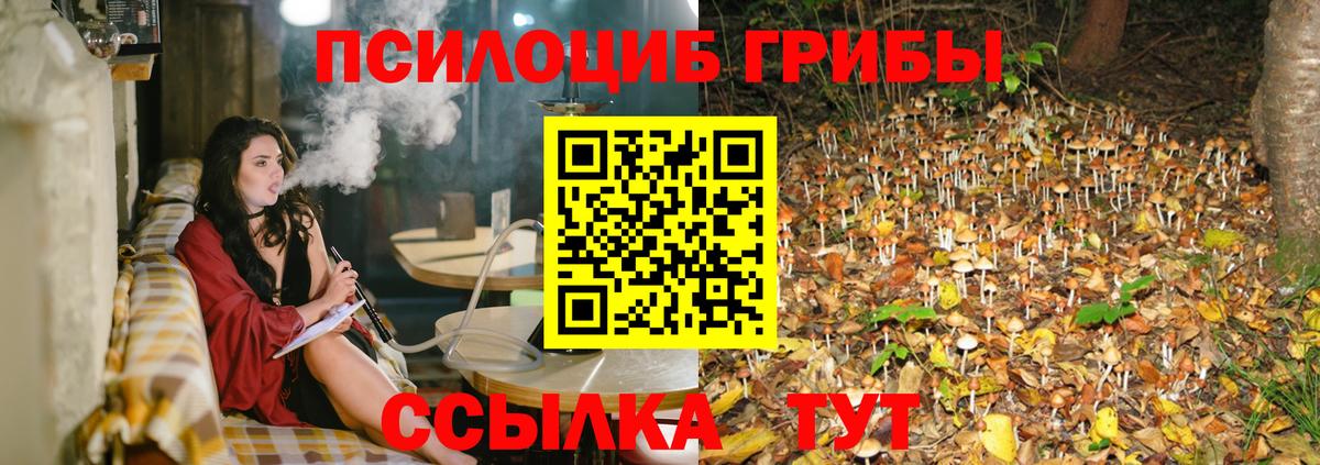 Псилоцибиновые грибы мухоморы Кизляр